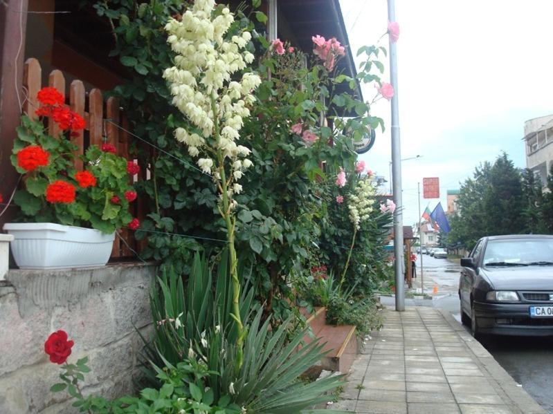 Lazur Hotel Ravda Bagian luar foto